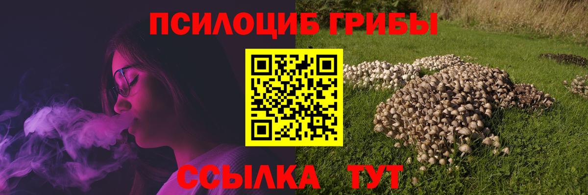 Галлюциногенные грибы мухоморы Протвино