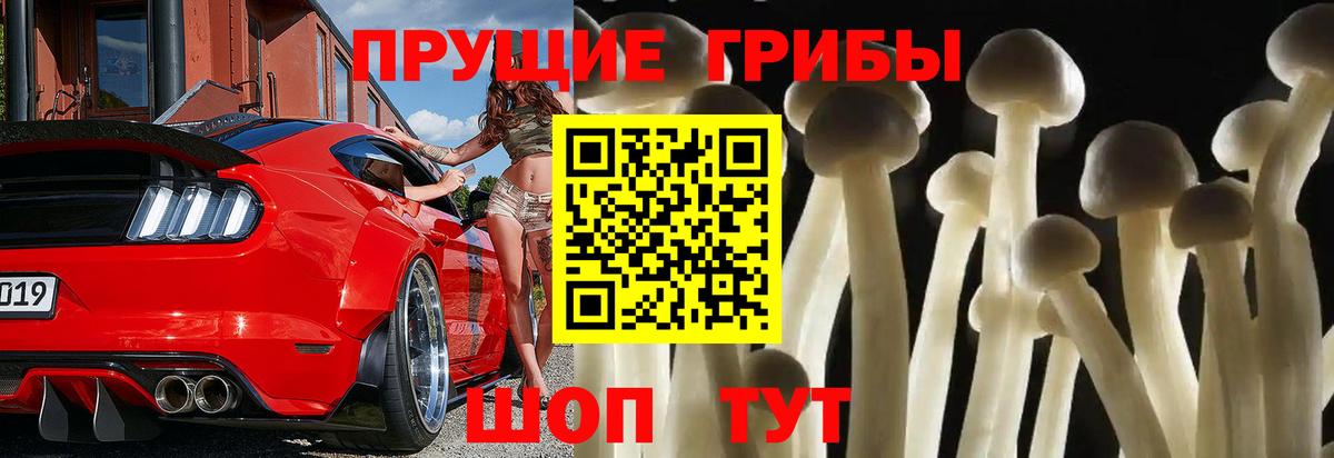 Протвино  Галлюциногенные грибы Magic Shrooms  Вход с VPN 